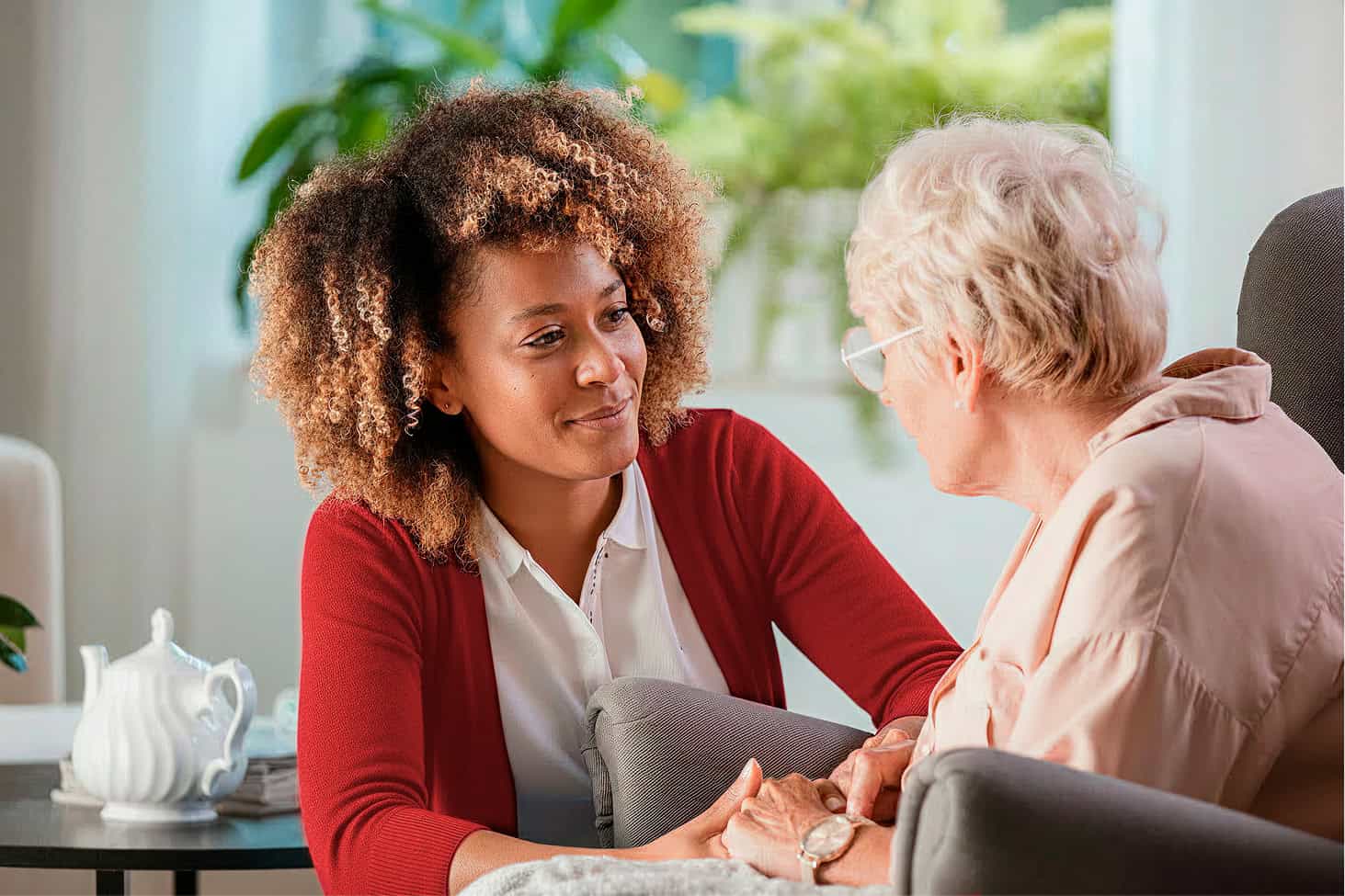 ontmoet ons team bij Dovida